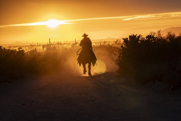 Silhouette of cowboy, riding a horse into the sunset.