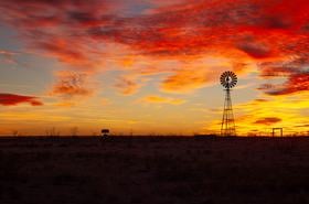 Amarillo