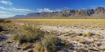 Permian Basin