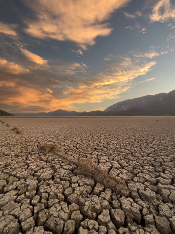 water