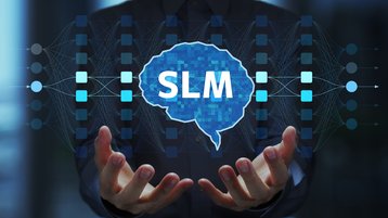Small Language Model
