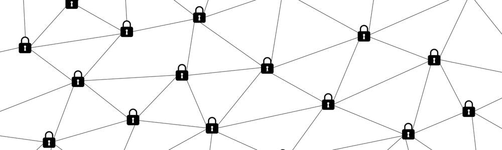 Private network concept