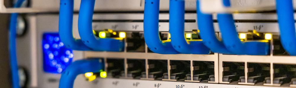 Generic network switch
