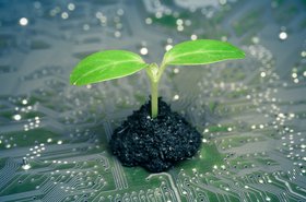 tree growing on a computer circuit board / green it / green computing / csr / it ethics
