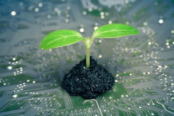 tree growing on a computer circuit board / green it / green computing / csr / it ethics