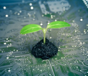 tree growing on a computer circuit board / green it / green computing / csr / it ethics