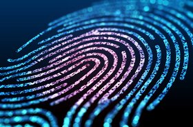 Digital fingerprint