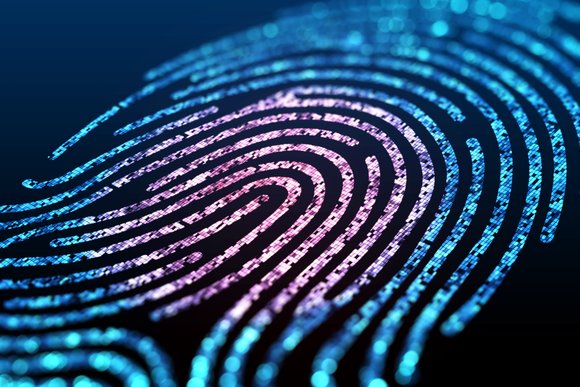 Digital fingerprint
