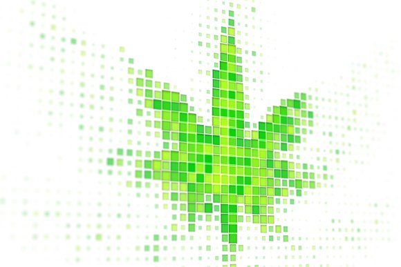 cannabis compute