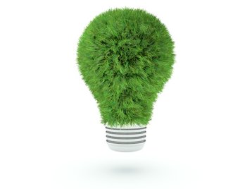 grass light bulb green energy efficient