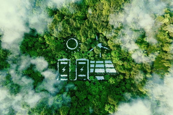 Green grid.jpg