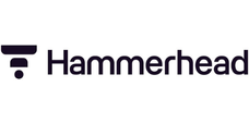 Hammerhead AI 228x114