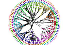 IBM_Brain_Diagram.jpg