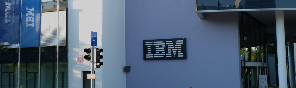 IBM sdx crop