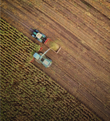 Image+-+Aerial+view+of+intercity+road+with+fast+driving+cars+between+farmland+fields+at+sunset.+Top+view-1