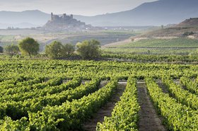La Rioja_0.jpg