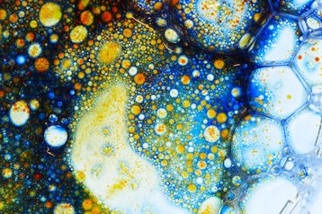 Life science cell biology