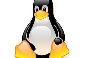 Linux-penguin