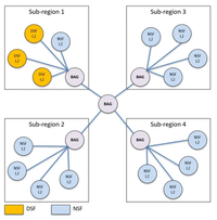 Graphic detailing Meta's Backend aggregation (BAG)