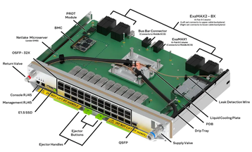 Meta Tahan Scale-up switch