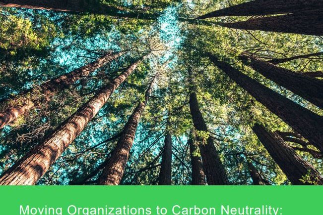 Moving Organizations to Carbon Neutrality: The Role of Carbon Offsets