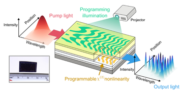 Diagram of a proof-of-concept programmable nonlinear channel waveguide fabricated by NTT Research, Cornell and Stanford scientists