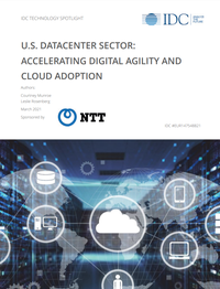 NTT WP Accelerating Digital Agility and Cloud Adoption .png