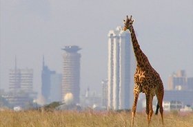 Nairobi.jpg