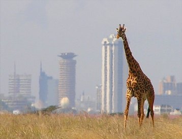 Nairobi.jpg