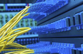 Network cables stock WEB.jpg