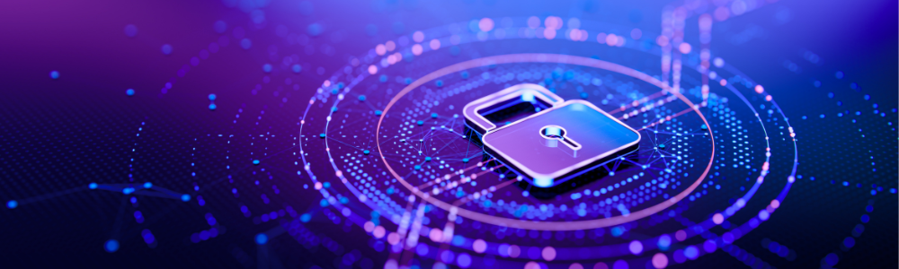 Generic cybersecurity/privacy image - SDx crop