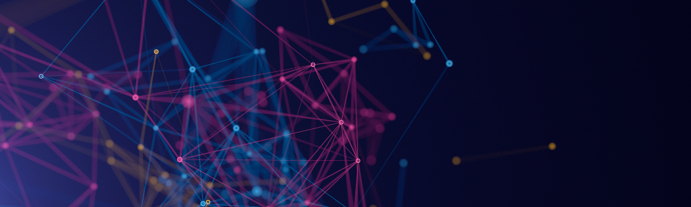 Generic networks concept - SDx crop