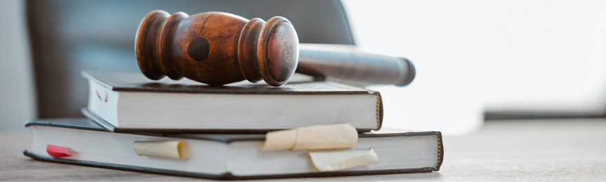 A judge's gavel resting on legal texts