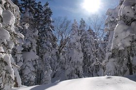 Nieve2.jpg