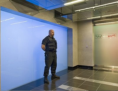 A security guard at the Phoenix NAP data center