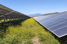 Planta solar de Aquila Clean Energy.jpg