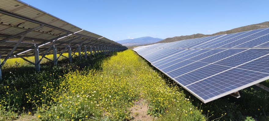 Planta solar de Aquila Clean Energy.jpg