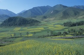 Qinghai Province (Thinkstock/Top Photo Corporation)