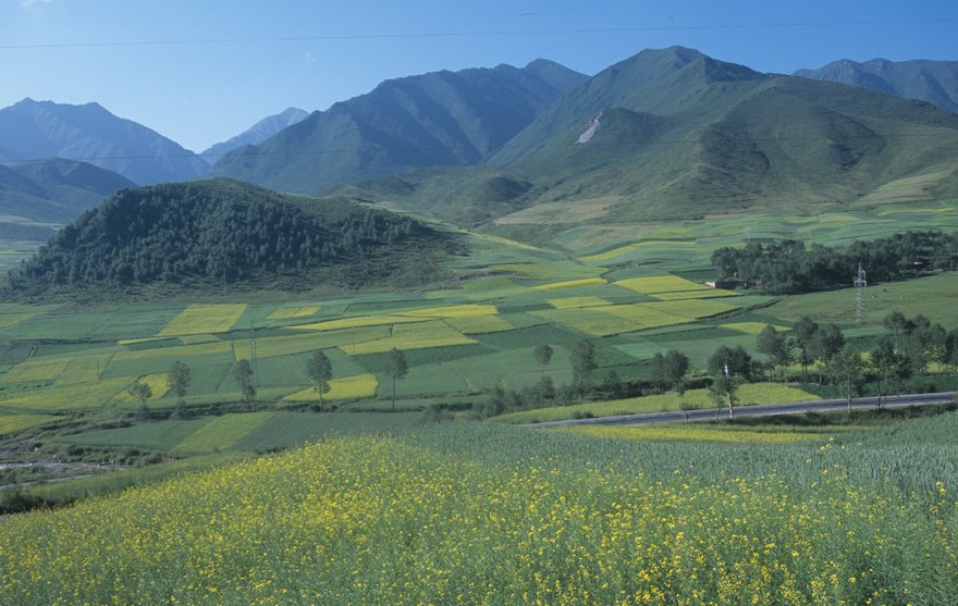 Qinghai Province (Thinkstock/Top Photo Corporation)