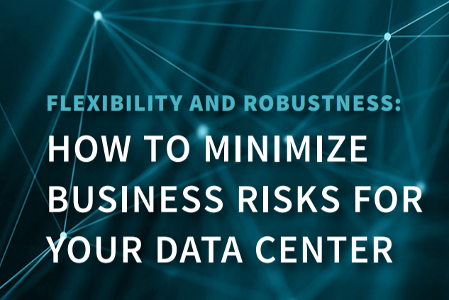 Flexibility and Robustness: How to Minimize Business Risks for Your Data Center.
