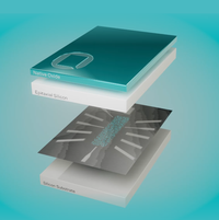 Schematic of SQC's quantum-enhanced machine learning processor, Watermelon