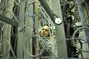 Senior Airman Sharon Navallo inspects central office wiring ithe US Air Force - credit US Air Force + Senior Airman Nicholas Caceres