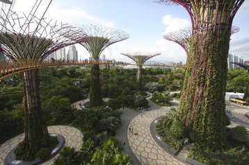 Solar-powered 'supertrees' at Gardens by the Bay, Singapore