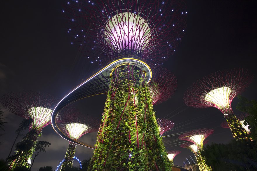 Singapore Gardens by the Bay.jpg