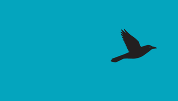 Smartbird