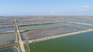 Google's Taiwan Solar Project