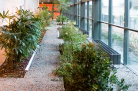 Telecity-Paris-greenhouse.jpg