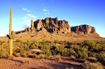Arizona desert cactus monument valley