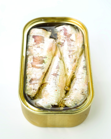 A can of sardines