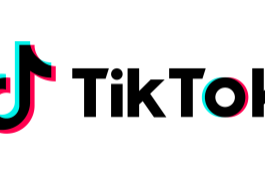 TikTok Logo
